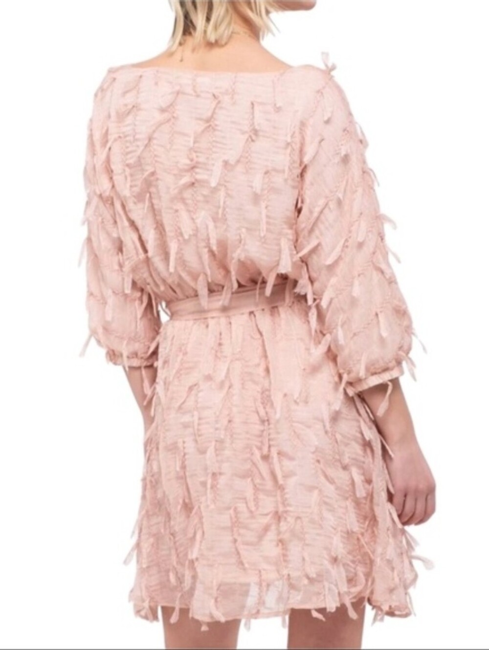 Eyelash Textured Chiffon Mini Dress Dusty Rose Whimsical Fairy Twee NEW - Picture 2 of 10